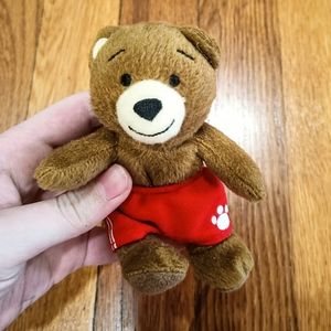 Mini Teddy Bear